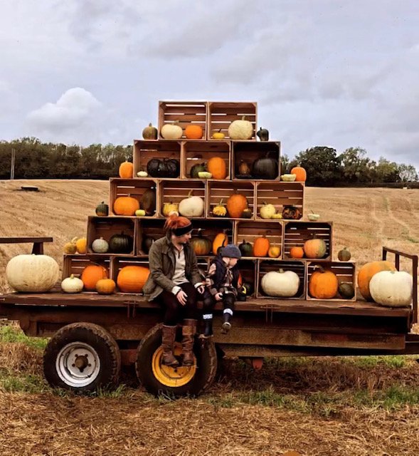 Pumpkin Patch at Palette and Pasture, Frome, Somerset